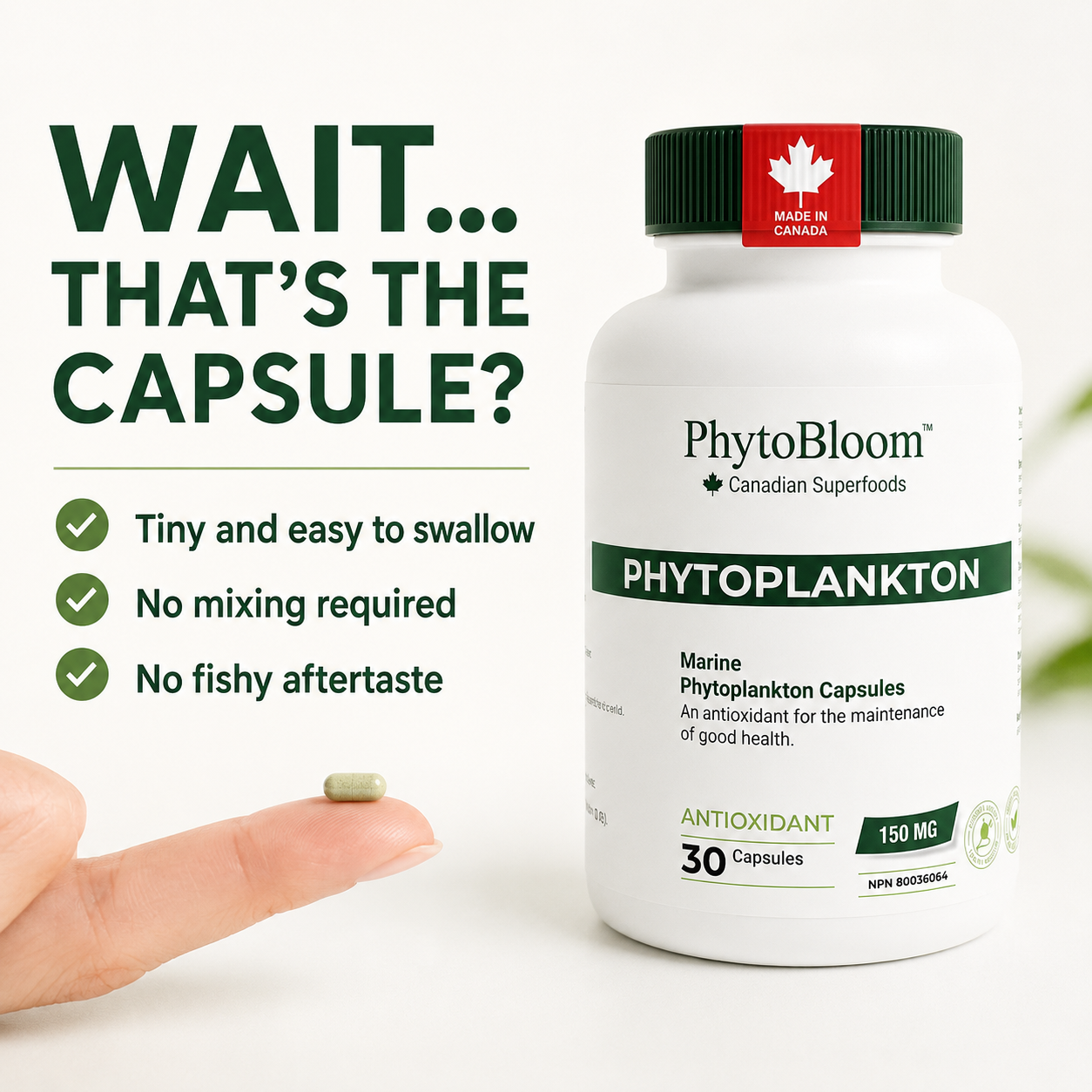 PhytoBloom Phytoplankton Capsules
