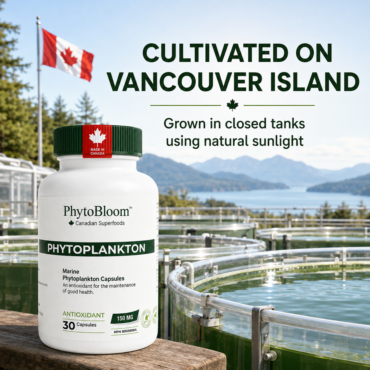 PhytoBloom Phytoplankton Capsules